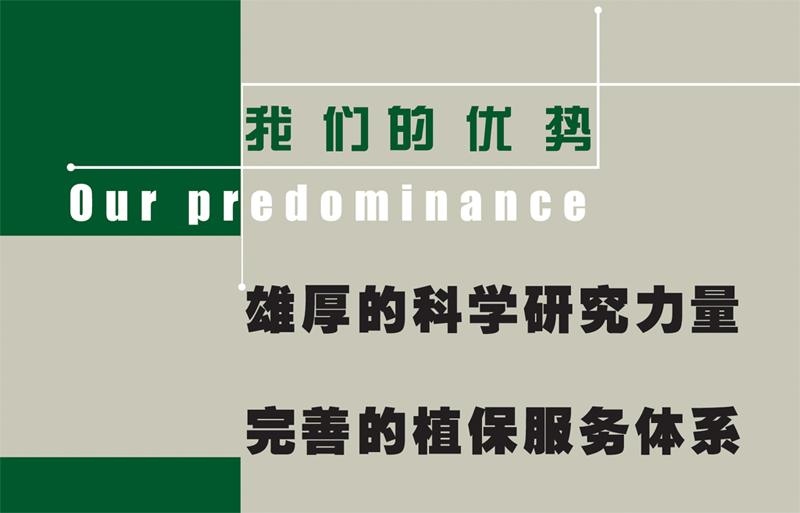 我们的优势